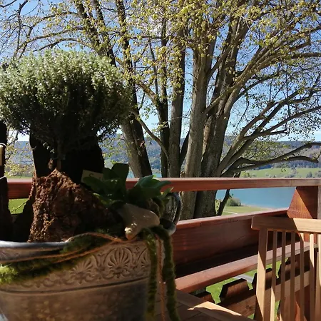 Roiderhof Irrsee 3*
