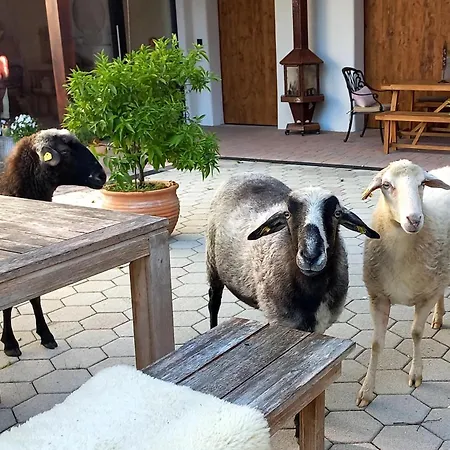 Roiderhof Irrsee 3*