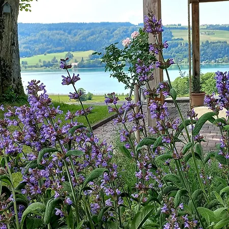 Roiderhof Irrsee 3*