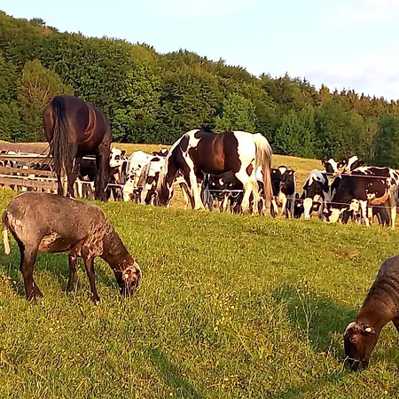 Roiderhof Irrsee アパートホテル 4*