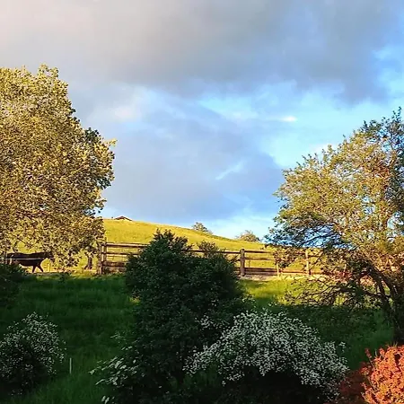 Roiderhof Irrsee Ξενοδοχείο με διαμερίσματα 4*