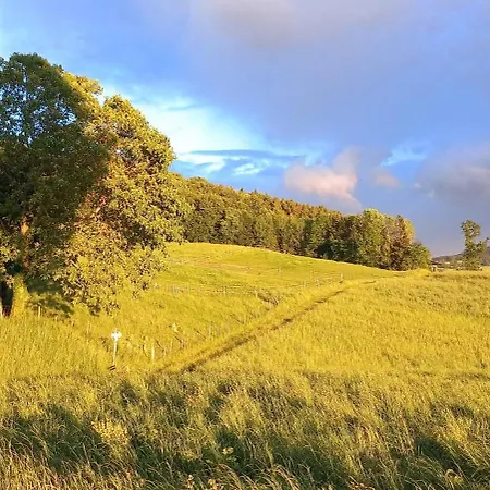 Ξενοδοχείο με διαμερίσματα Roiderhof Irrsee 4*