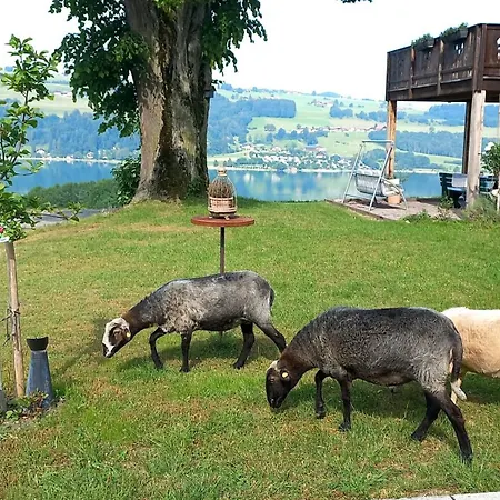 Roiderhof Irrsee