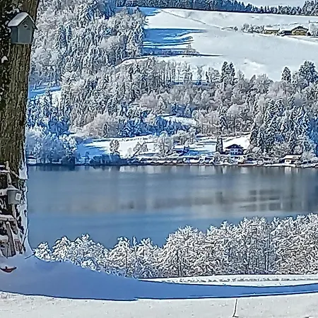 Roiderhof Irrsee Oberhofen am Irrsee