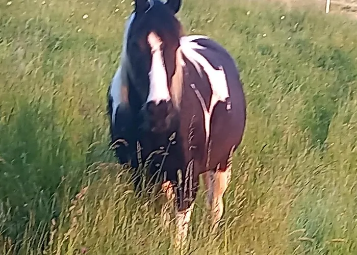 Appart hôtel Roiderhof Irrsee 4*