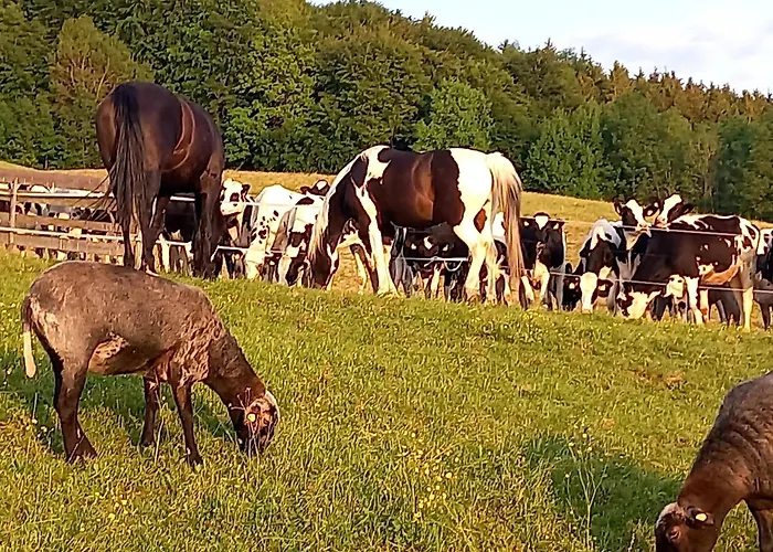 Roiderhof Irrsee Appart hôtel 4*