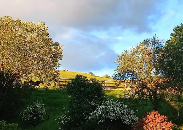 Roiderhof Irrsee Appart hôtel 4*